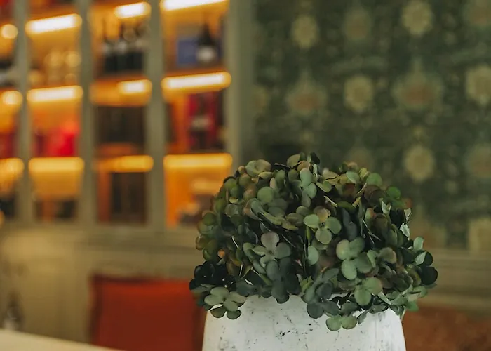 Gran Cruz House 게스트하우스 포르투